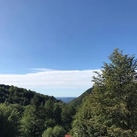 Chalet Procanit Oasi Di Pace Chalet
